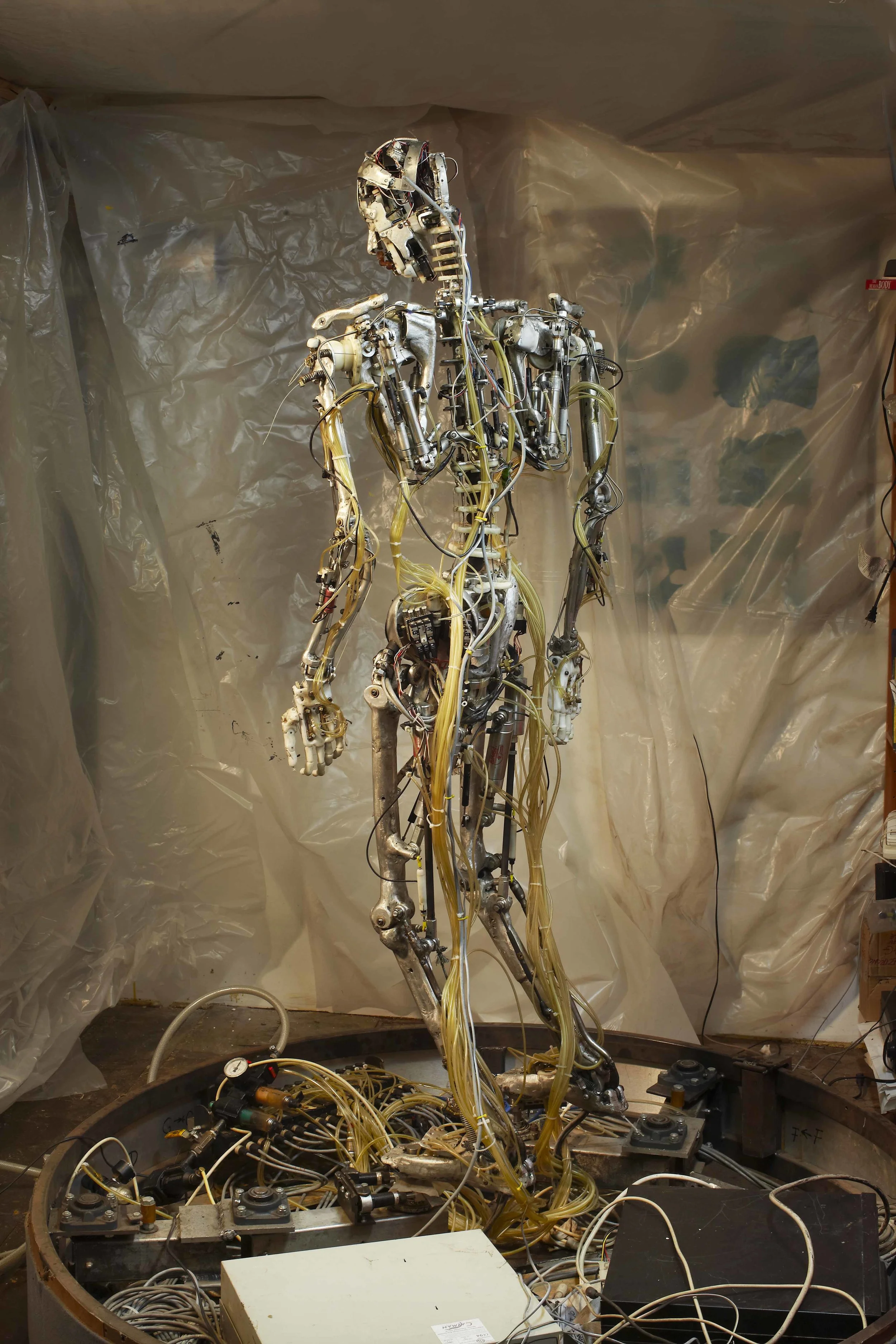 Skeletal Reflections — Chico MacMurtrie